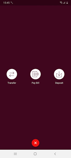 Lakeside Mobile Banking Screen 3