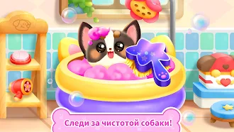 Game screenshot Панда Игра: Жизнь Собаки apk download