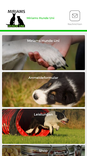 Miriams Hunde Uni