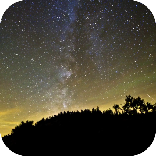 Night Live Wallpaper logo