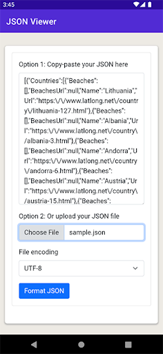 JSON Viewer & Formatter Screen 2