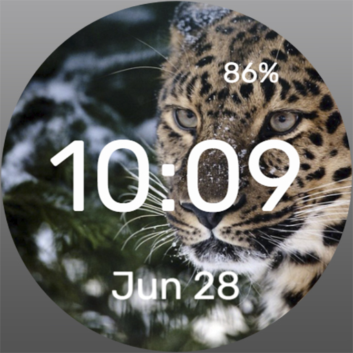 Powdered Cheetah - Watch Face Download on Windows