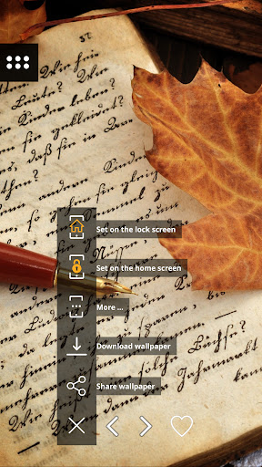Wallpapers with leaves in 4K Screen 2