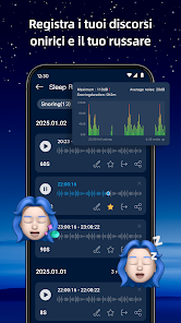 Immagine screenshot
