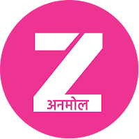 Zeee Anmol Tv Serials Guide
