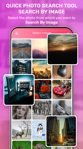 Android application Quick Photo Search Toll screenshort