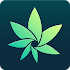 HiGrade: THC Testing & Cannabis Growing Assistant1.0.316