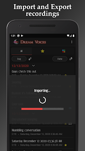 Dream Voices - Sleep recorder Screenshot
