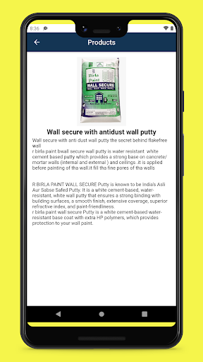 R BirlaPaint Screen 2
