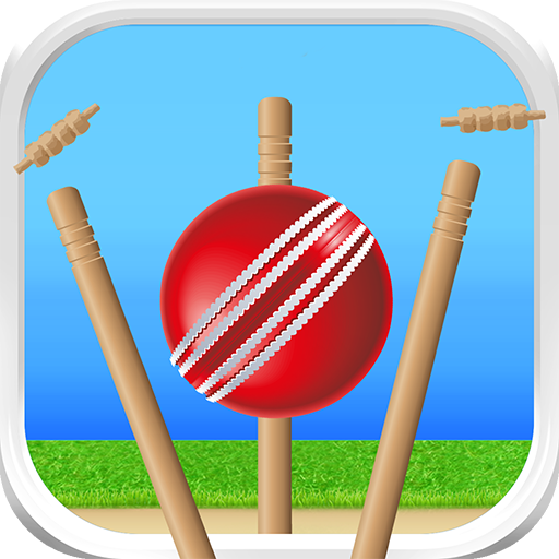 Cricket - Defend the Wicket  Icon