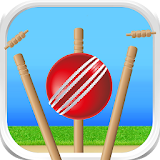 Cricket - Defend the Wicket icon