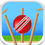 Cricket - Defend the Wicket Apk