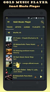 Gold Music Player For PC installation