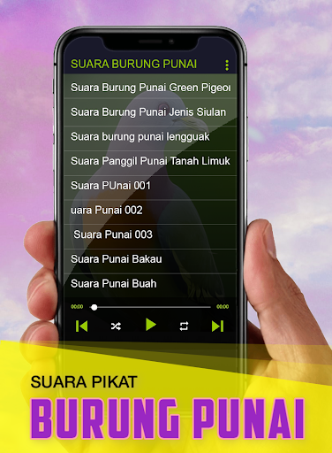 Suara Punai: Green Pigeon Screen 3