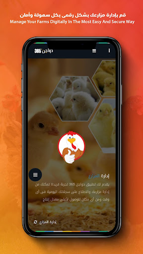 Poultry 365 - دواجن 365
