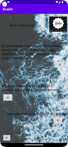 BCalm Screen 2
