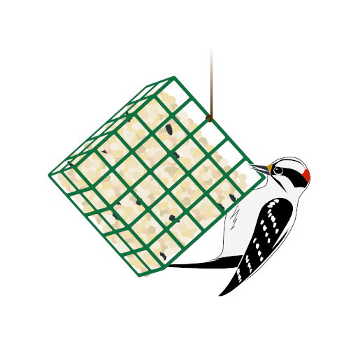 Project FeederWatch Logo