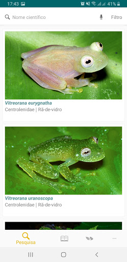 Anfíbios da Mata Atlântica Screen 2