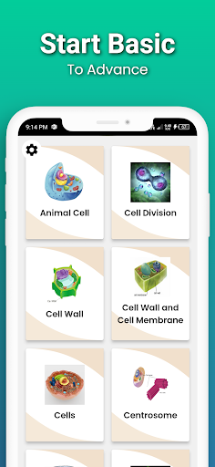 Learning Cell Biology Screen 3