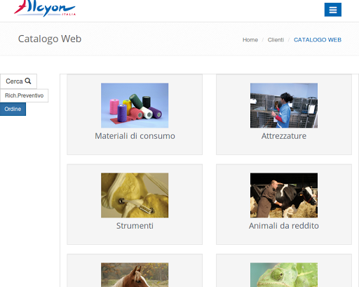 Alcyon Italia App Screen 2