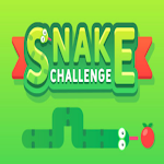 Cover Image of Download Snake Challenge 1.03 APK