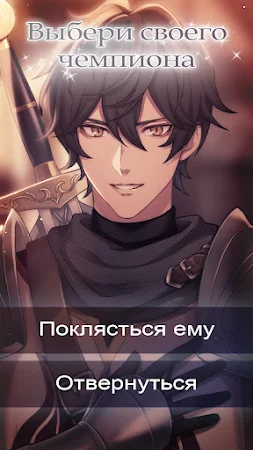 Game screenshot Knights of Romance and Valor apk download