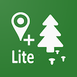 Forest Navigator Lite icon