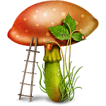 Cover Image of Download Edible mushroom - Photos  APK