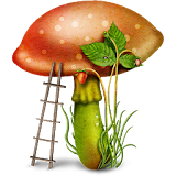 Edible mushroom - Photos icon