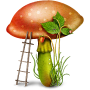  Edible mushroom - Photos 