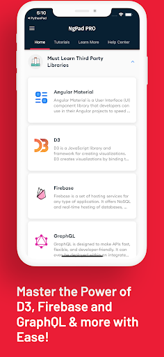Screenshot of Learn Angular: AngularDev PRO