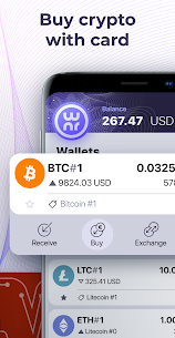 OWNR Bitcoin wallet and Visa card. Blockchain, BTC 3