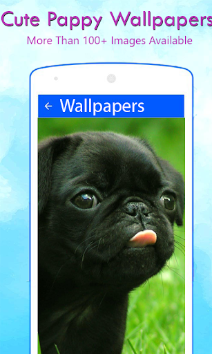 Android application Cute Pappy Wallpapers screenshort