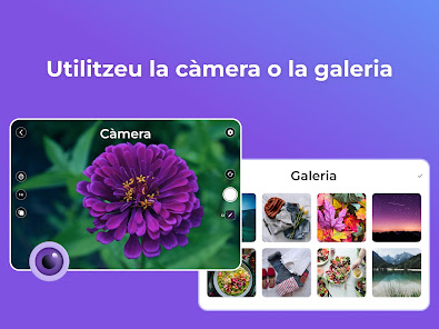 Imatge d'una captura de pantalla