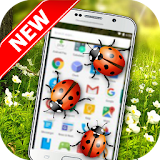Ladybugs On Screen-Funny Prank icon