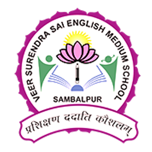 Veer Surendra Sai EM School logo