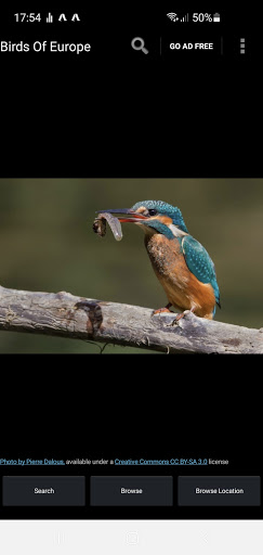 Android application Birds Of Europe Guide screenshort