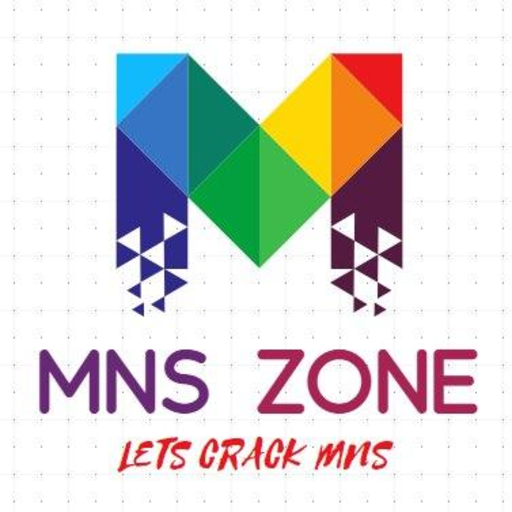 MNS ZONE logo