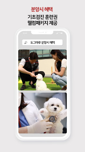 강아지분양 고양이분양 최저가분양 도그마루라이트 Screen 3