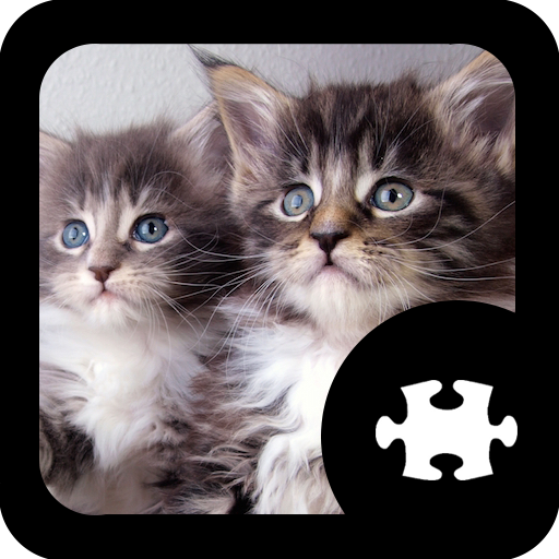 Cats & Kitten Puzzle