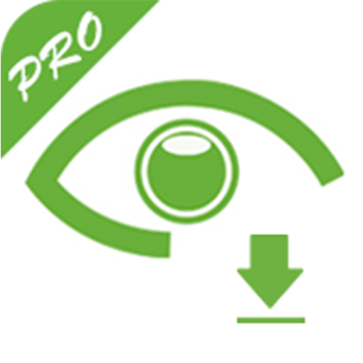 CamKing Pro Downloader Laai af op Windows