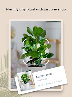 PlantIn: Plant Identification Screenshot