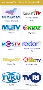 Indonesian TV