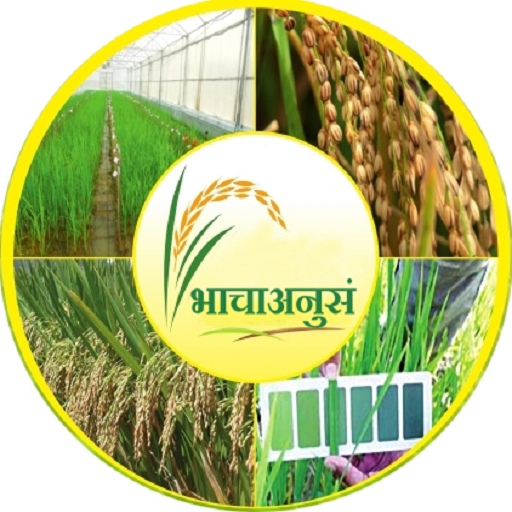 IIRR Profile in Hindi(भाचाअनुस logo