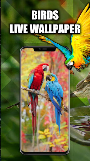 Android application Tropical Birds Wallpaper Live screenshort