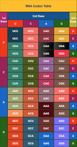 Android application RNA Codon Table (Genetic Code screenshort