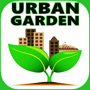 Urban garden. Organic vegetables