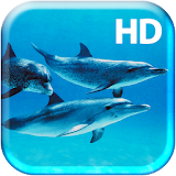 Underwater Dolphins Live icon