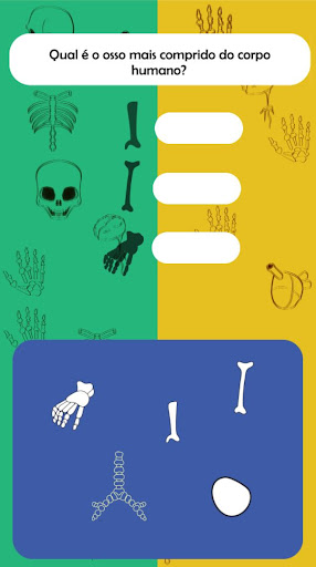 Descobrindo o corpo humano Screen 3
