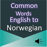 Common Words English Norwegian icon